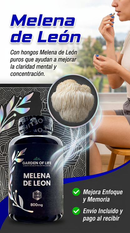 Melena de León - claridad mental y concentración