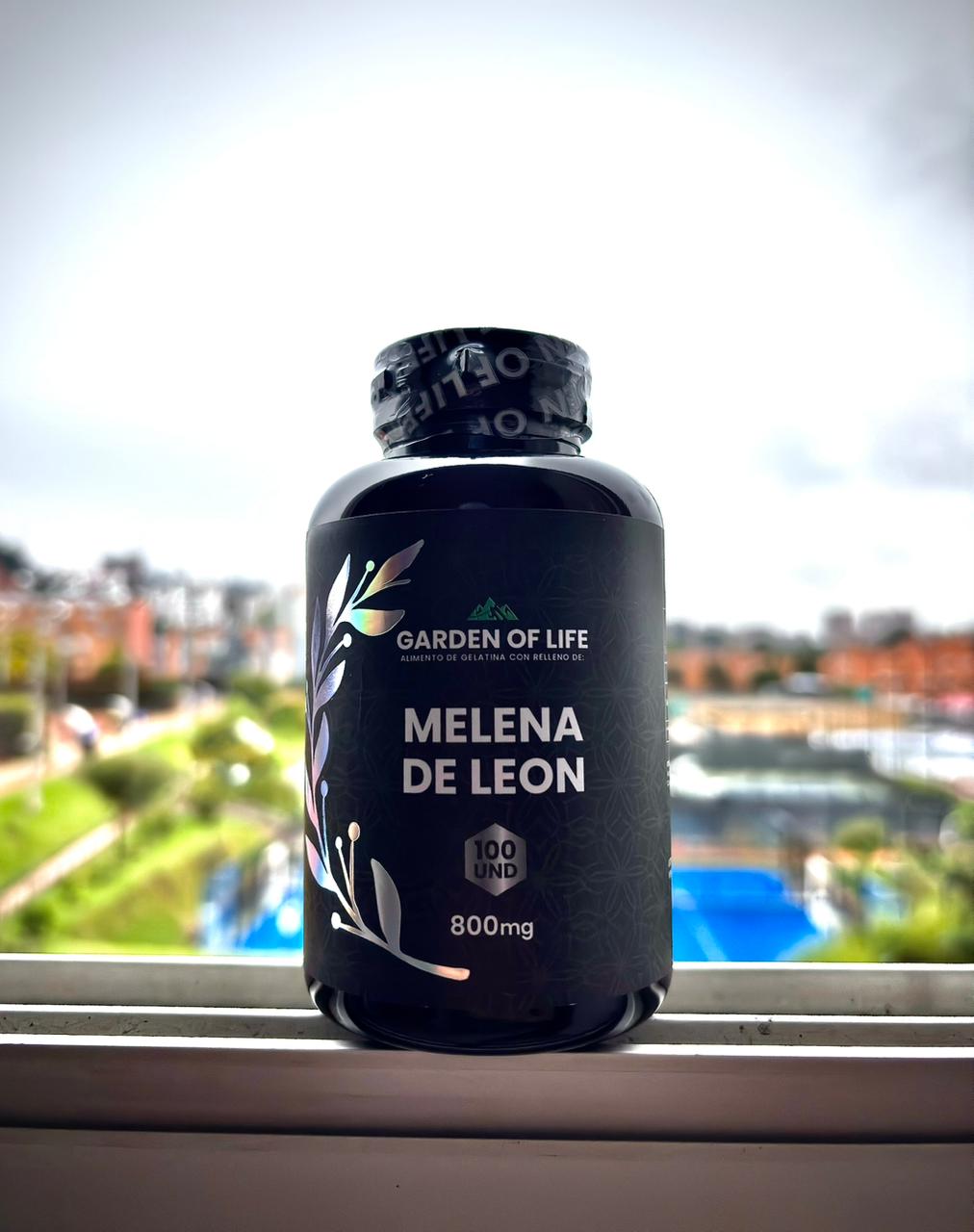 Melena de León Garden of Life - frasco en ventana con vista a Bogotá
